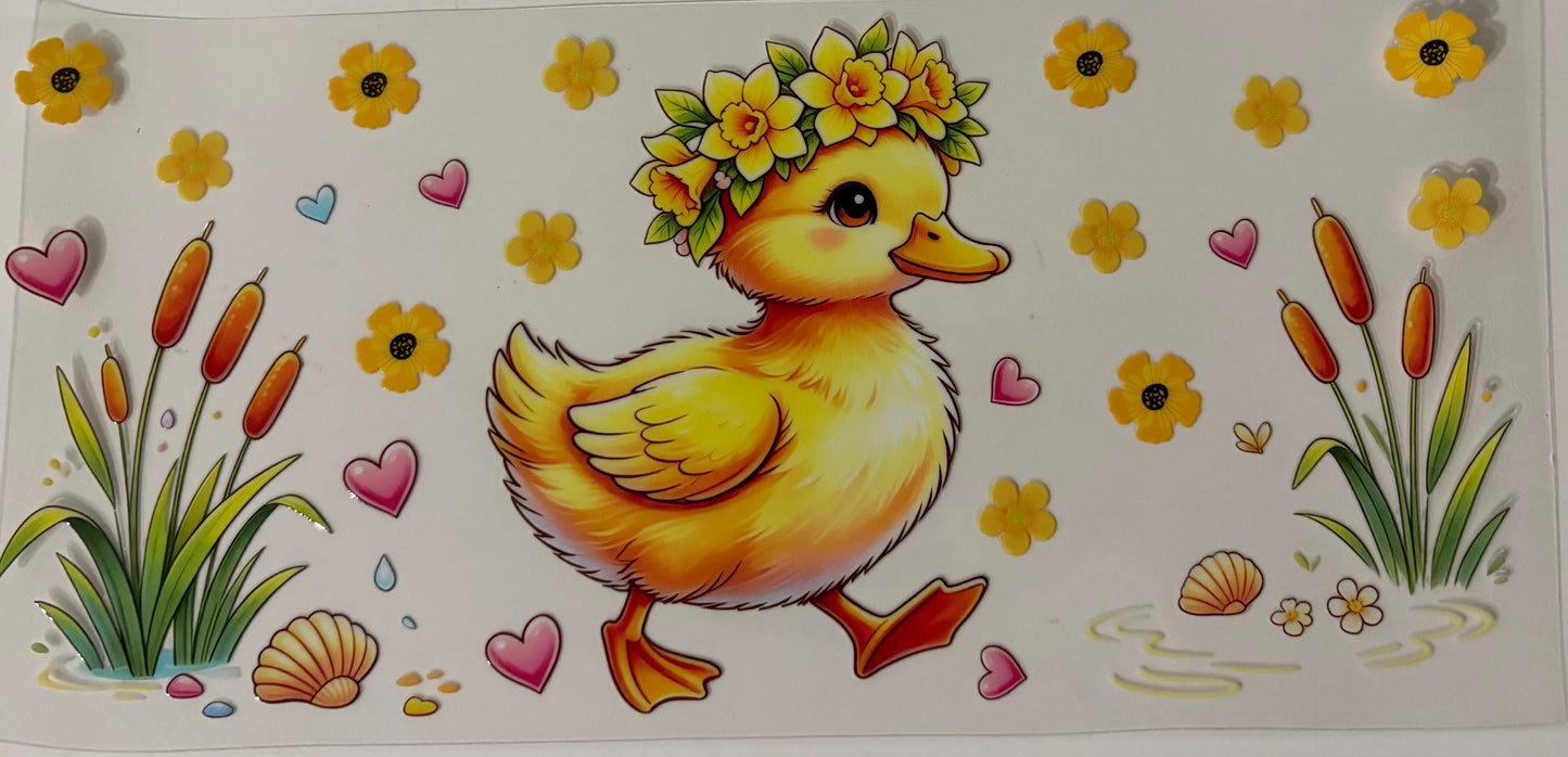 Duck
