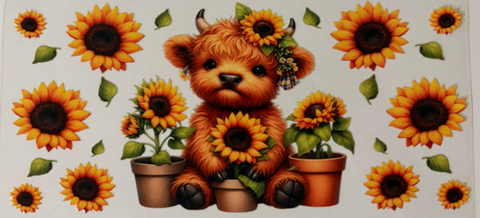 Cow- sunflowers