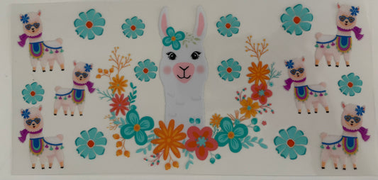 Llama