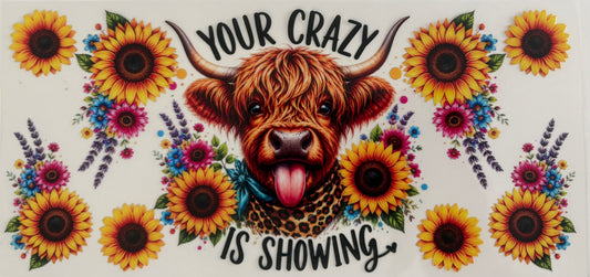 Cow- your crazy is showing