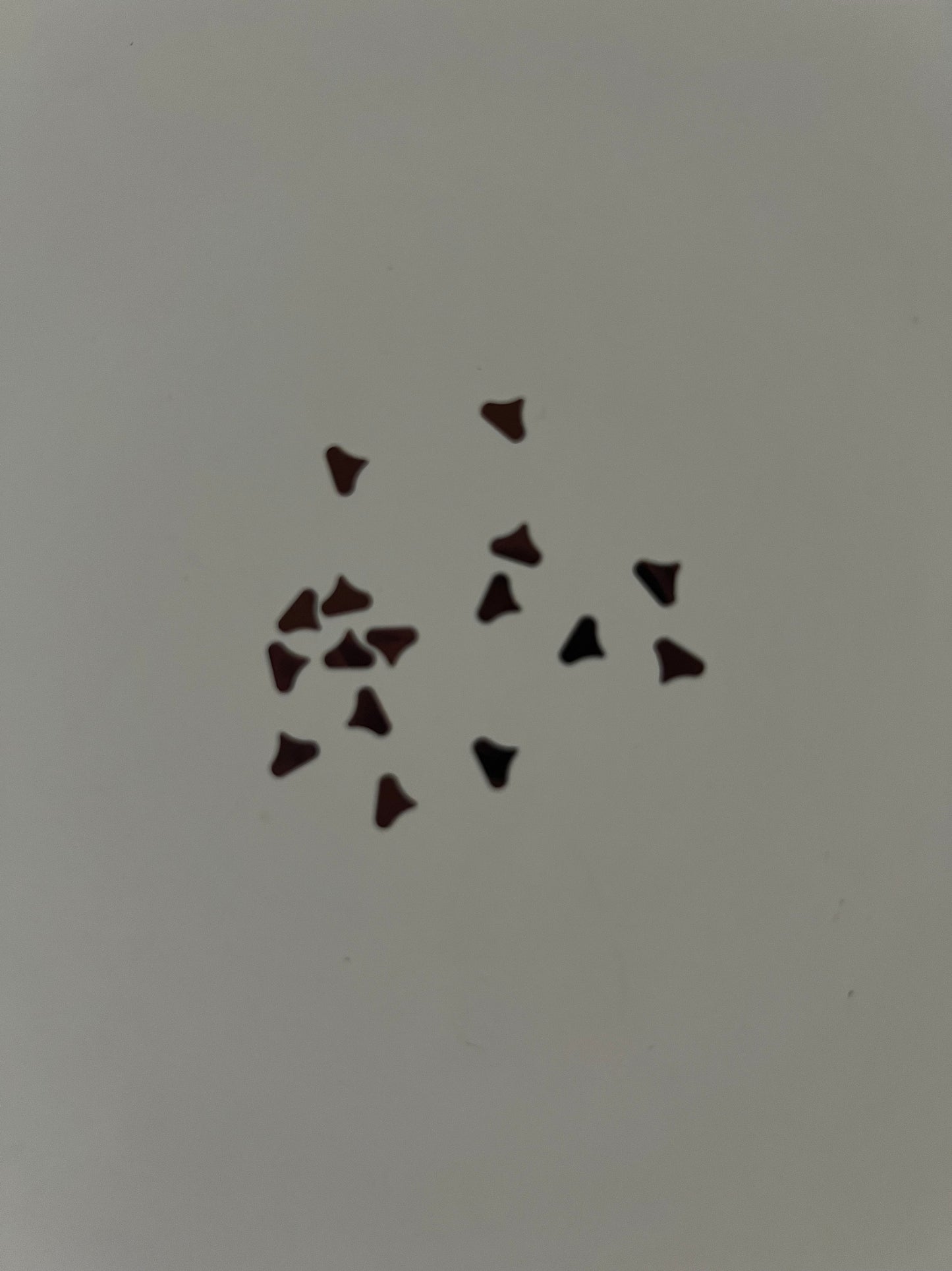 Chocolate chip shaped glitter