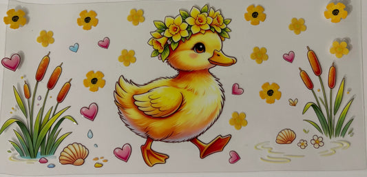 Duck