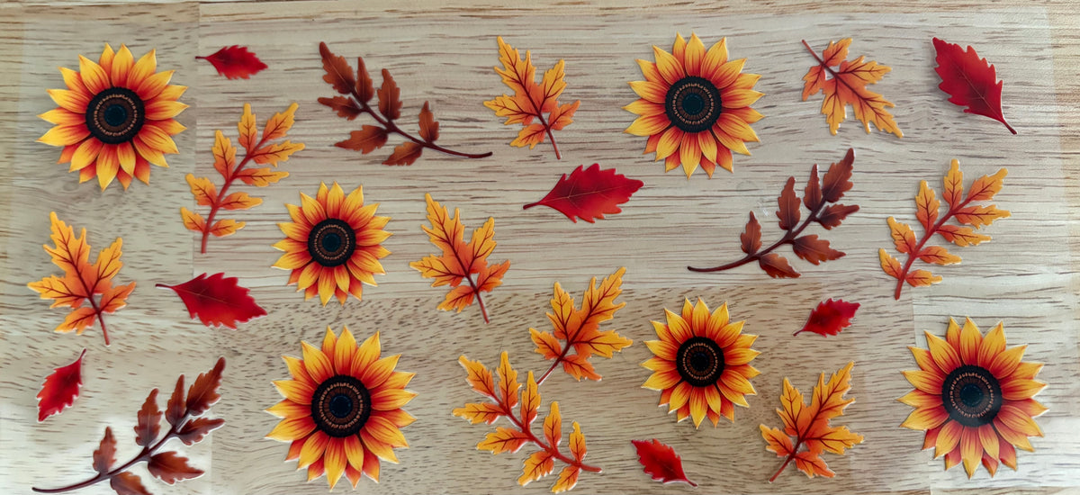 Fall