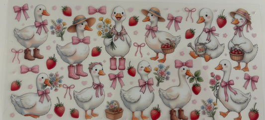 Duck